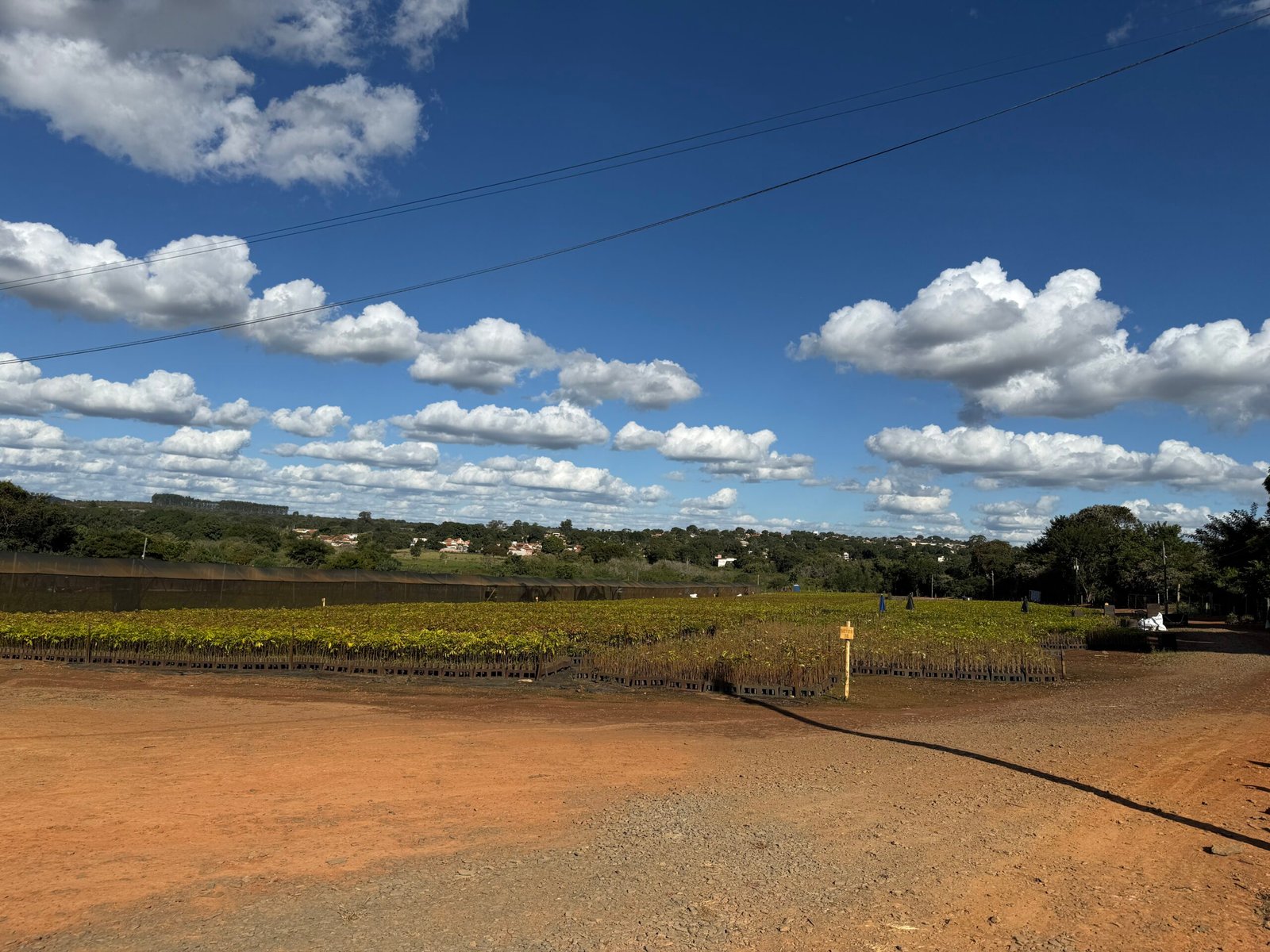 Projeto de Pompéu: O Laboratório de Arte, Território e Valor